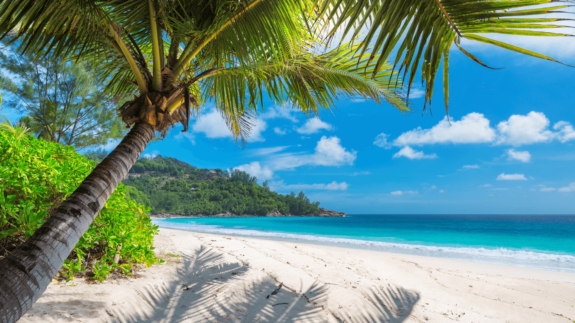 jamaica