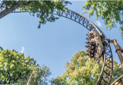 capture-rollercoaster