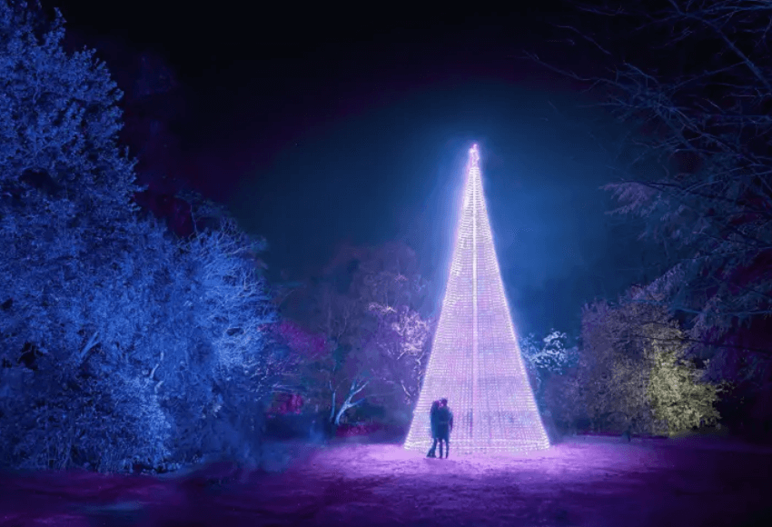 things-to-do-at-christmas-edinburgh