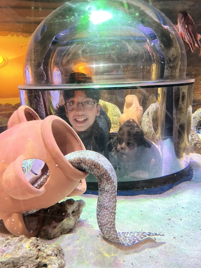 sealife-manchester-3