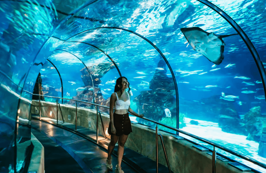 barcelona-aquarium