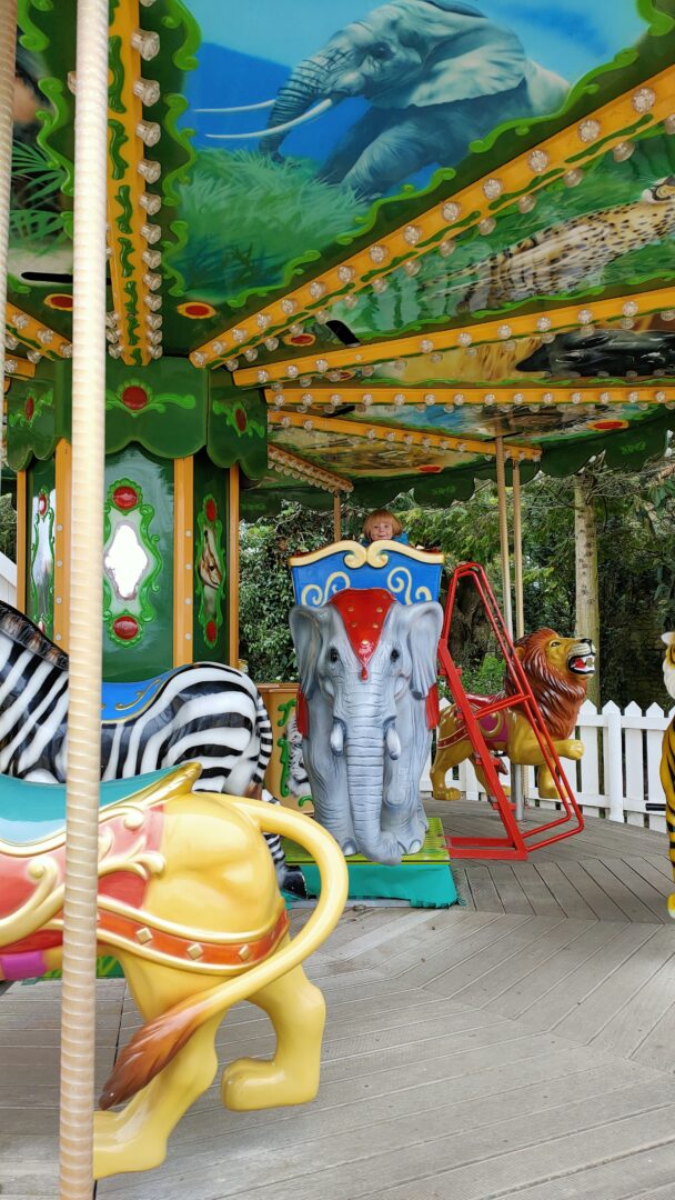 Flamingo Land Theme Park and Zoo