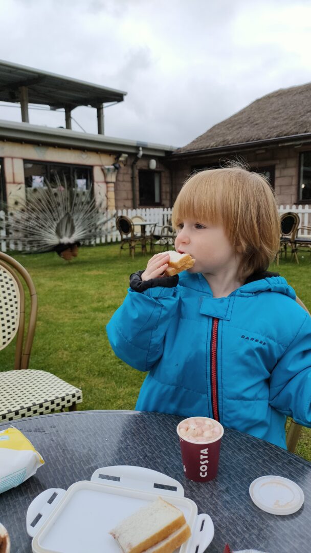 Flamingo Land Theme Park and Zoo