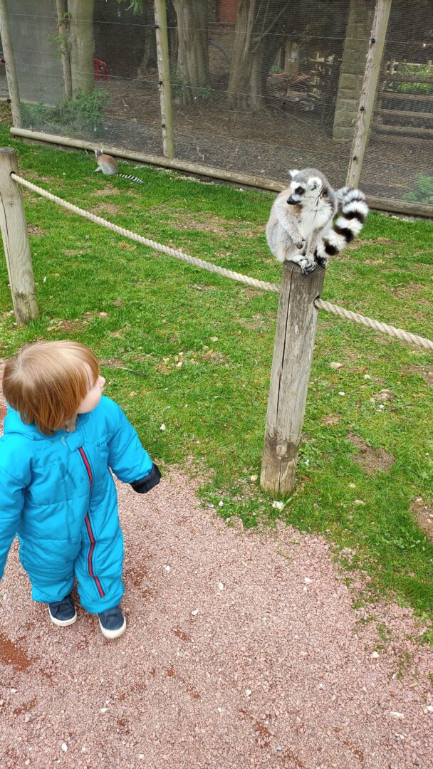 Flamingo Land Theme Park and Zoo