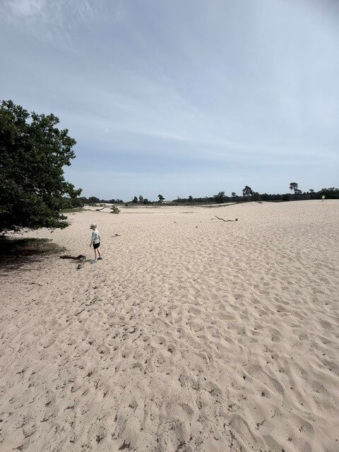 sands-1