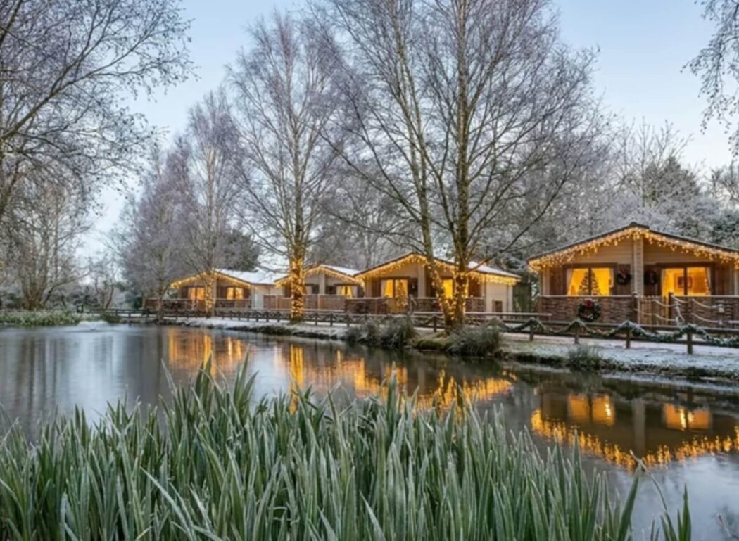 Sherwood Forest image